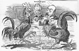 La pelea de gallos liberales