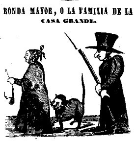 gato
